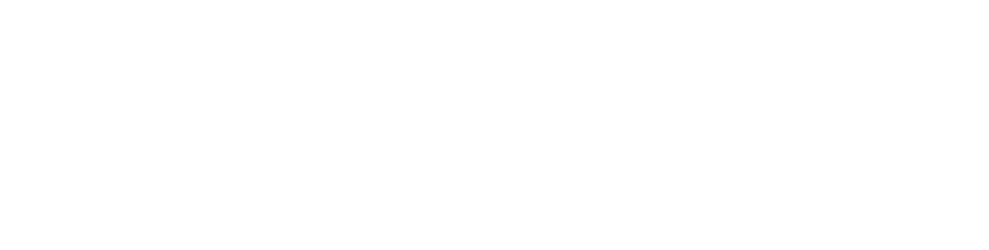 Logo White